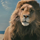 Aslan in the Chronicles of Narnia: The Voyage of the Dawn Treader.